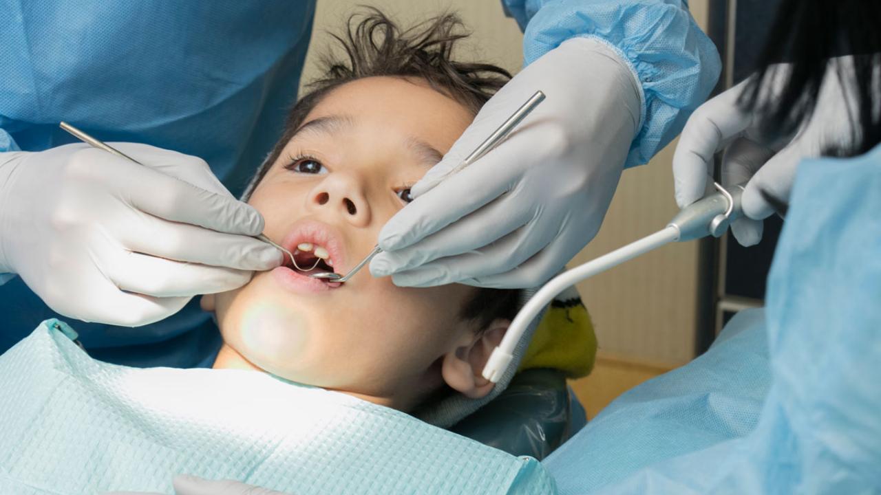 Pediatric Dentistry Residency | College of Dental Medicine