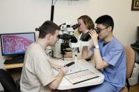 Two male students and one female student looking at slides through microscopes.