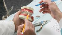 two dentists examining a fake set of teeth with braces