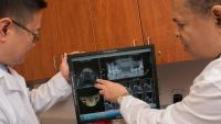 Dentists analyze a mouth x-ray on a computer.