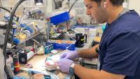Resident working in lab.