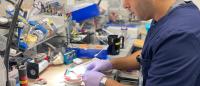 Resident working in lab.