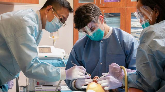 Aegd Programs For International Dentists In Florida Externships in AEGD, Endodontics, Orthodontics, Periodontics, or